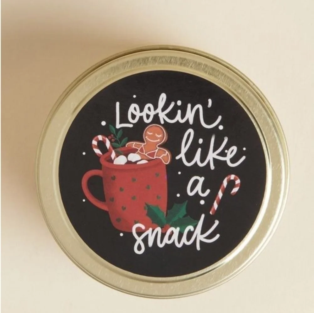 NWT Torrid Like A Snack Candle In Spicy Ginger Bread Size 2 OZ
